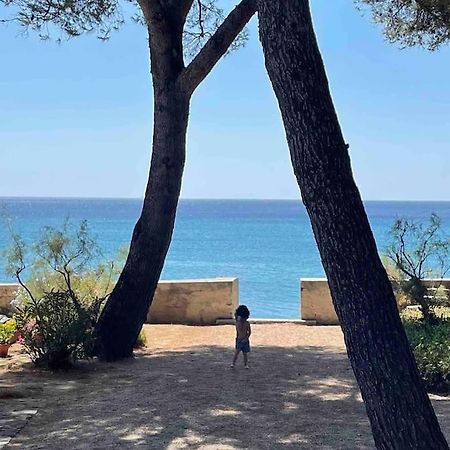 Cocon Les Pieds Dans L'Eau Acces Direct A La Mer 拉西约塔 外观 照片